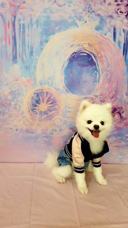 PAWS AVENUE BOUTIQUE