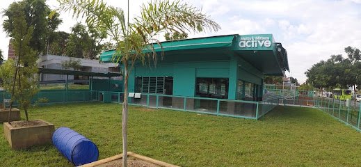 Mutts & Mittens Active