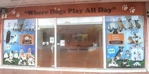 Kaizen 4 Dogs Training & Daycare (formerly Ginny & Friends)