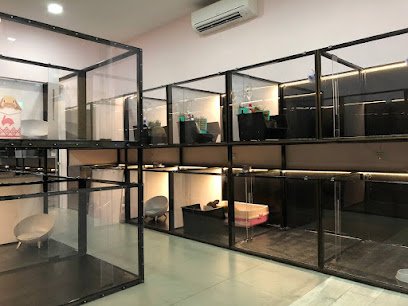 The Fluffy Hut – Chinchilla, Guinea Pig, Hamster, Rabbit Boarding