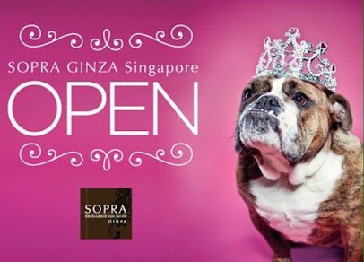 Pet Grooming / SOPRA GINZA Singapore Bukit Timah