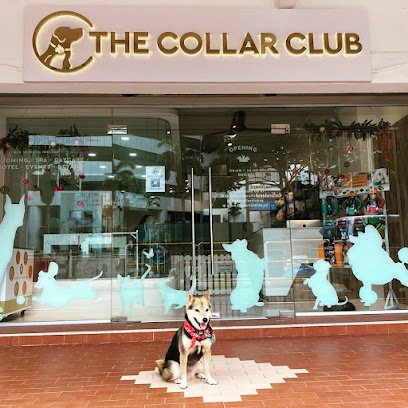 The Collar Club River Valley