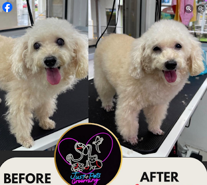 Just4Pets Grooming – Holland Village