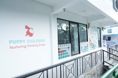 Puppy Colours @ Namly