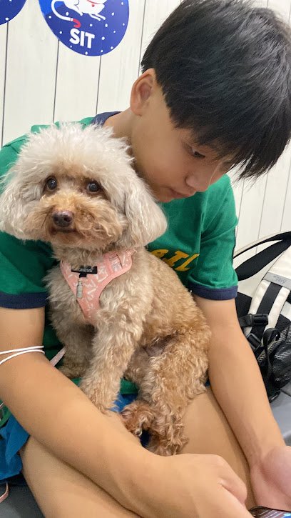 Pets Avenue Veterinary Clinic (Beauty World) & Pets Avenue Cat Vets