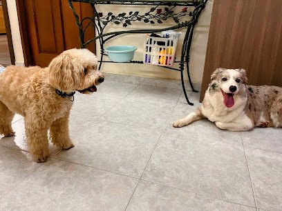 Furry Retreat Singapore