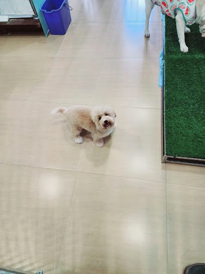 Fyfy’s Love Pet Services