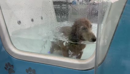 Furkids Home Pet Grooming & Spa