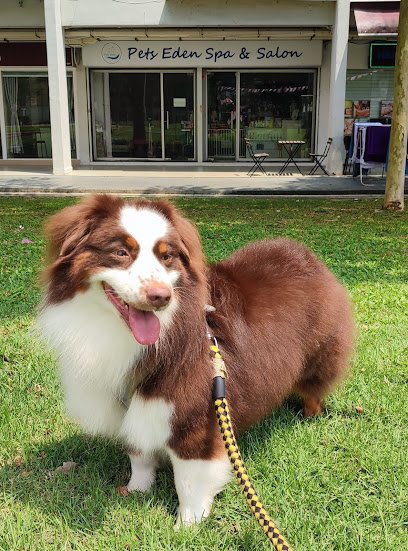 Pets Eden Spa & Salon